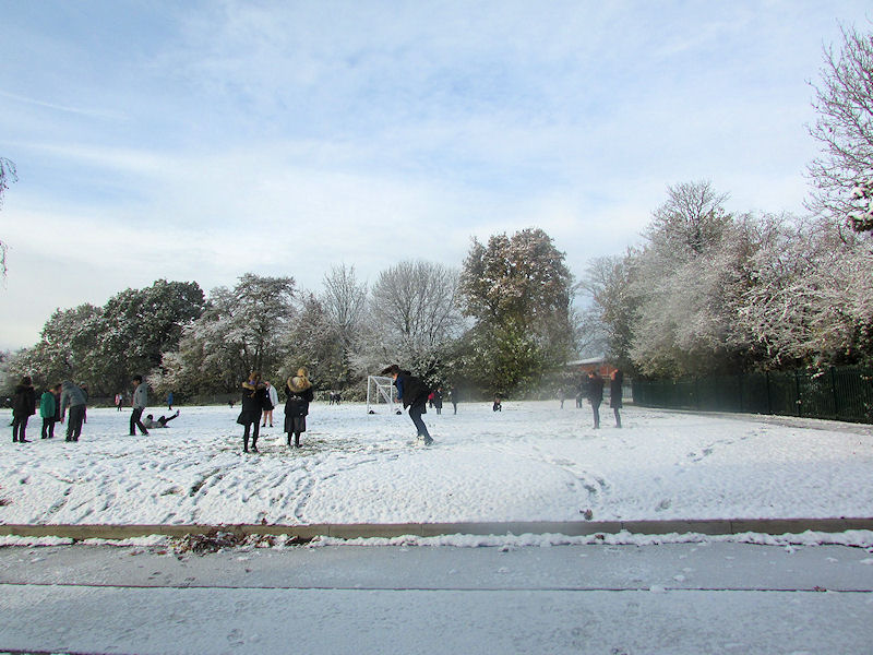 A Snowy Day in November