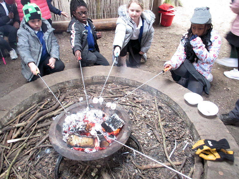 Year 3 at Ryton Pools