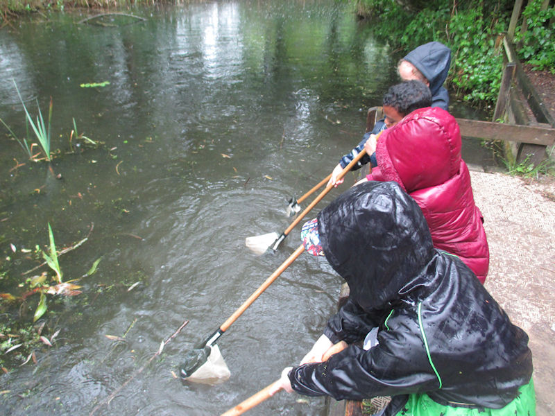 Year 1 at Ryton Pools